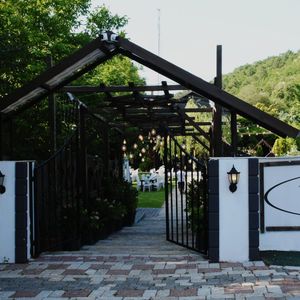 image-2420073