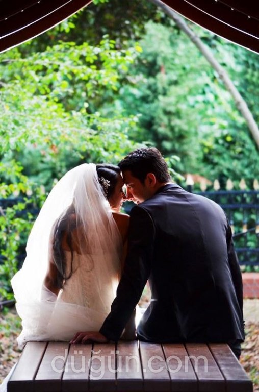 Fotoğraf Hikayesi 2010