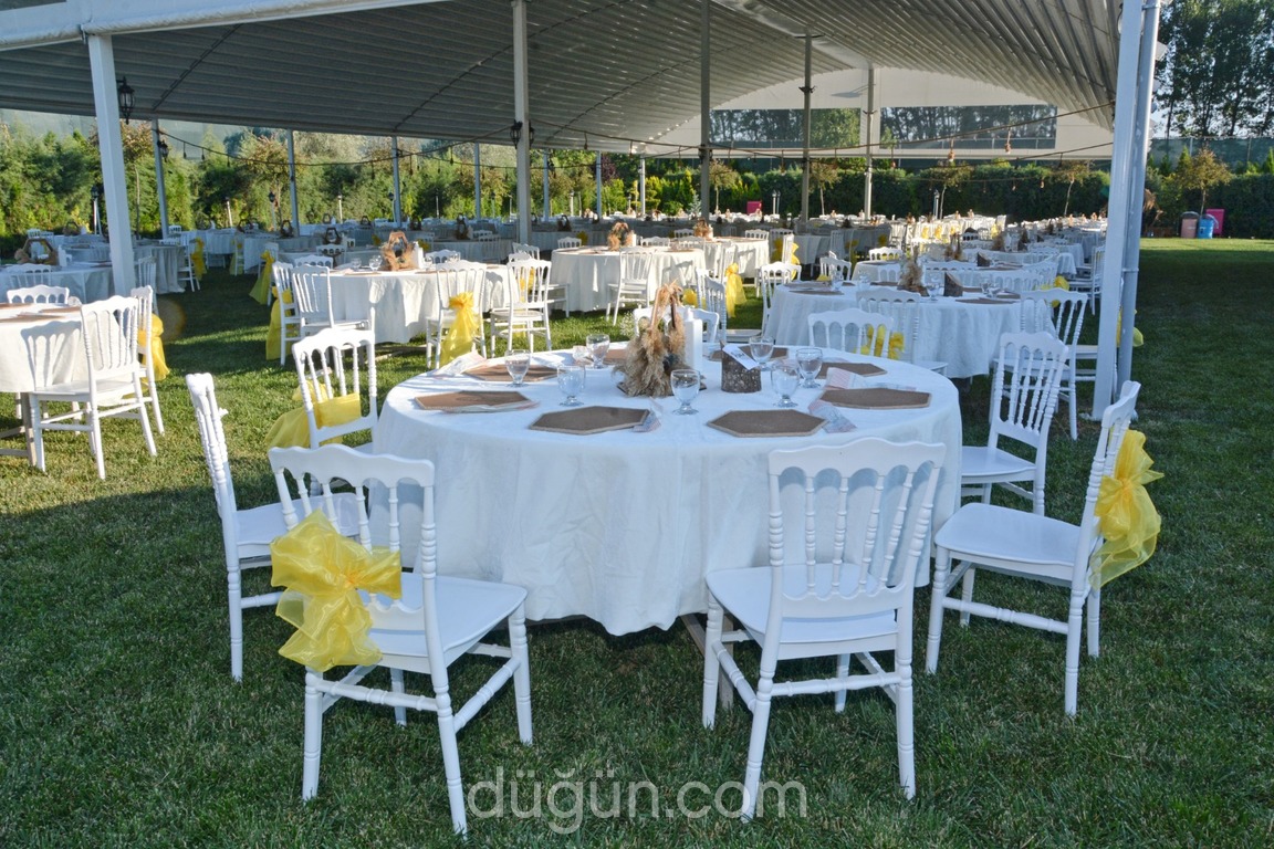 Çınaraltı Villa Park Kır Düğün ve Davet
