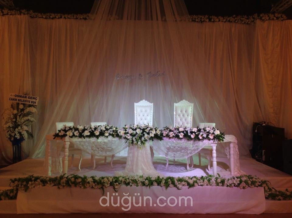 Doğan Organizasyon