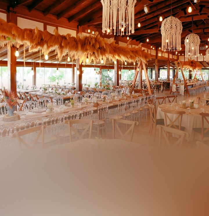 Talles Park Vip