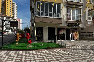image-2441836