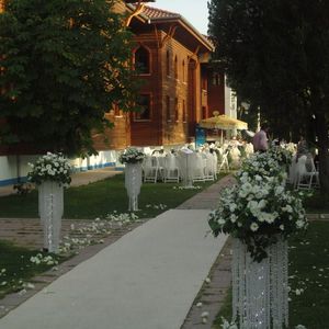 image-2458705