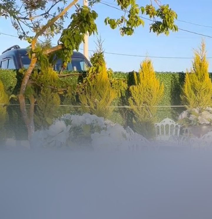 Best Garden Kır Bahçesi