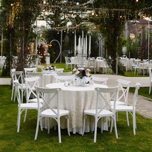 Elegant Garden