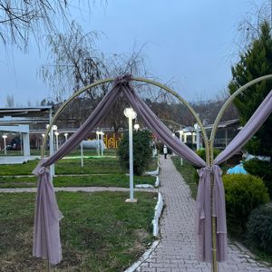 image-2464912