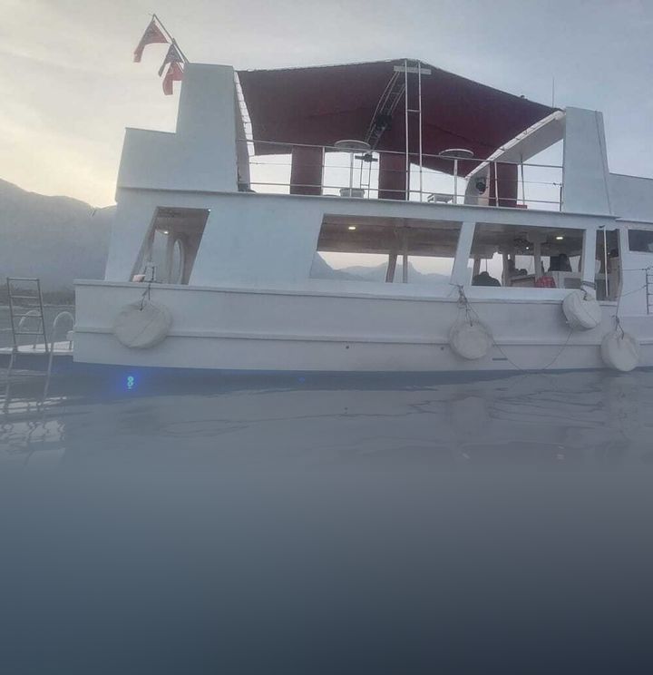 Octopus Tekne