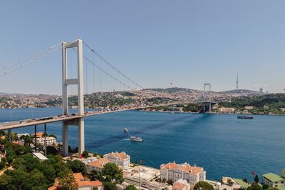 image-2465612