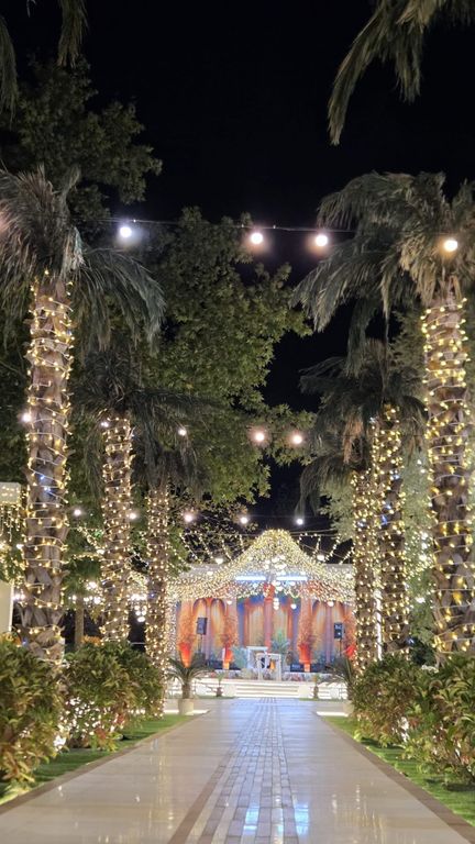 Altınpark Palmiye Garden - 2592079