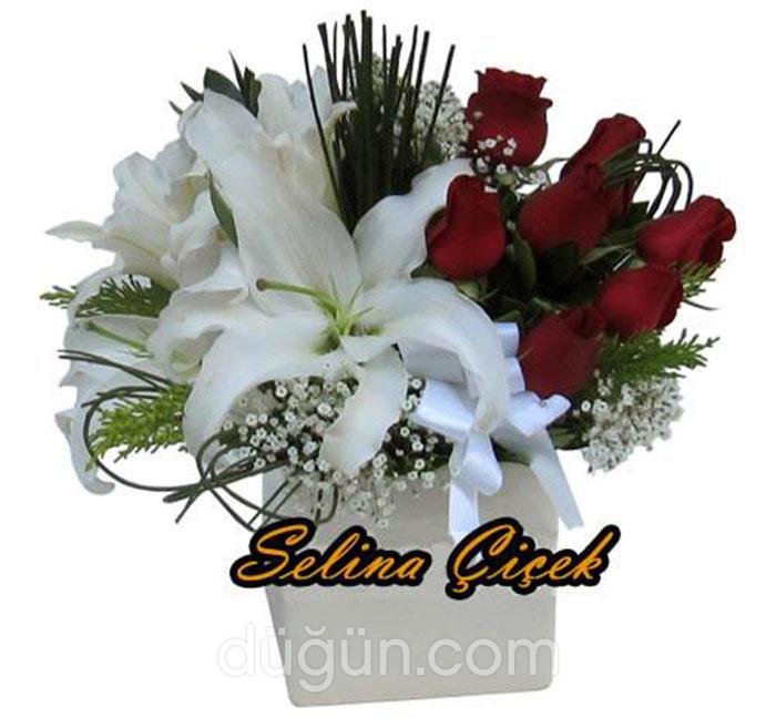 Selina Çiçek