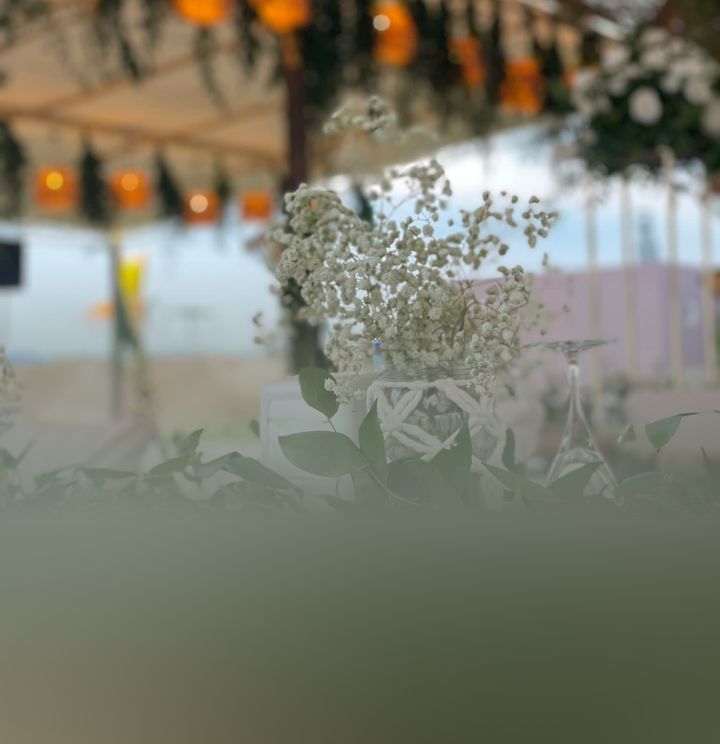 Lara Wedding
