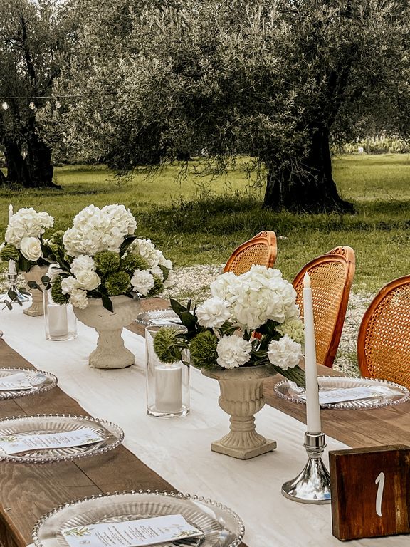 Sera Verde - Kasırga Çiftliği