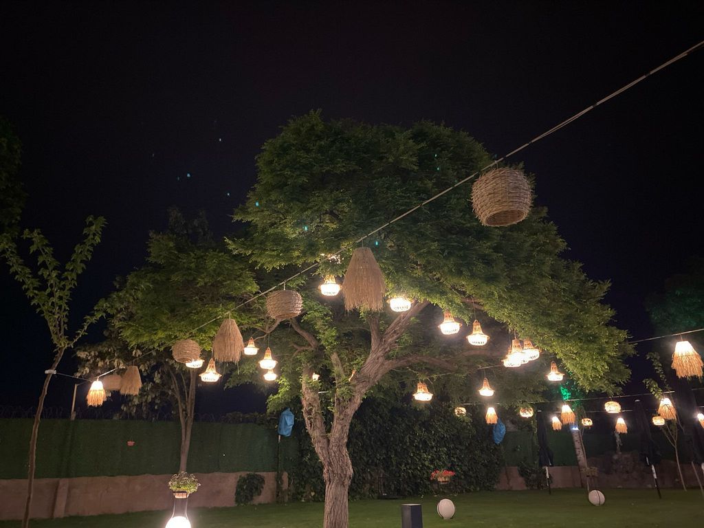 Feryal Aydın Bonheur Restaurant