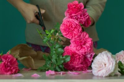 Tropikal Botanik Çiçekçilik