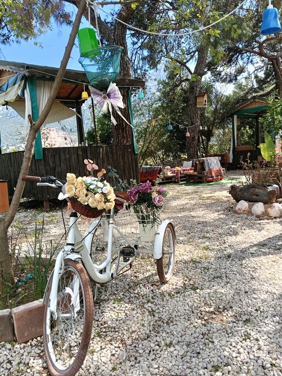 Işık Kır Bahçesi