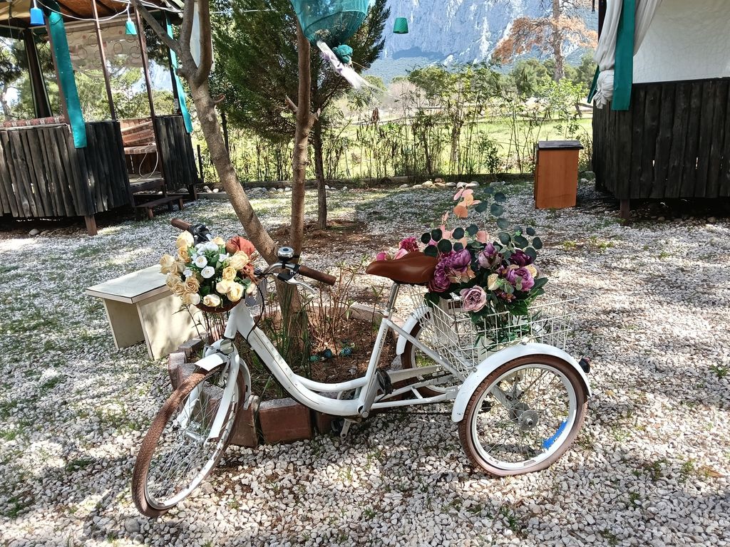 Işık Kır Bahçesi