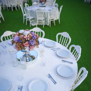 image-2510709