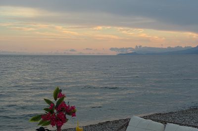 image-2506756