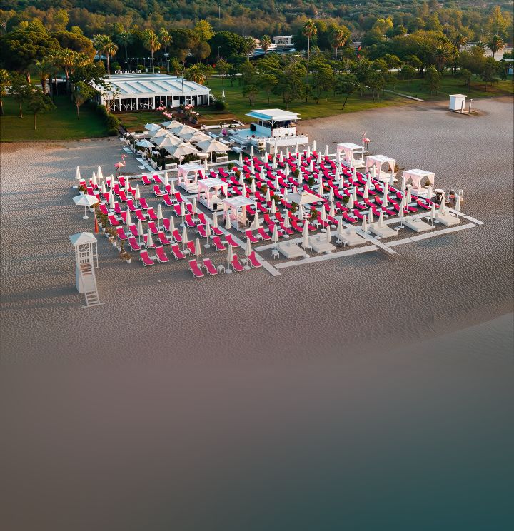 Flamingo Beach