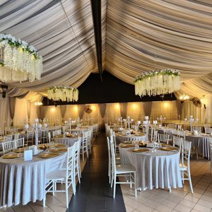 image-2513984
