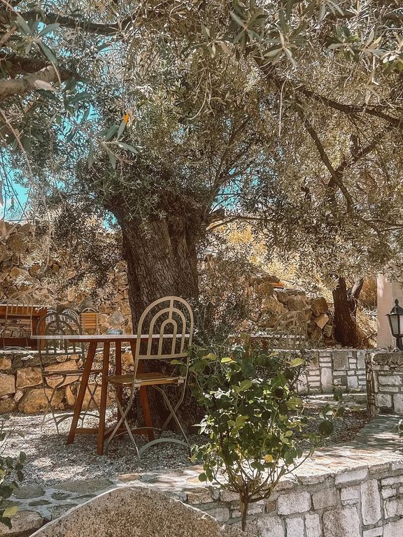 Goche's Coffee Village