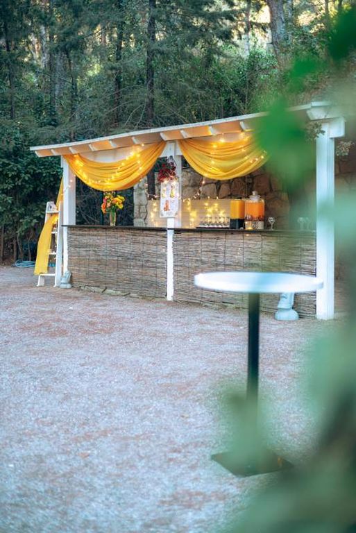 Pinya Urla - 2590707
