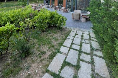image-2530037