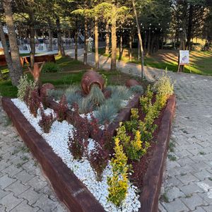 Gizemli Bahçe