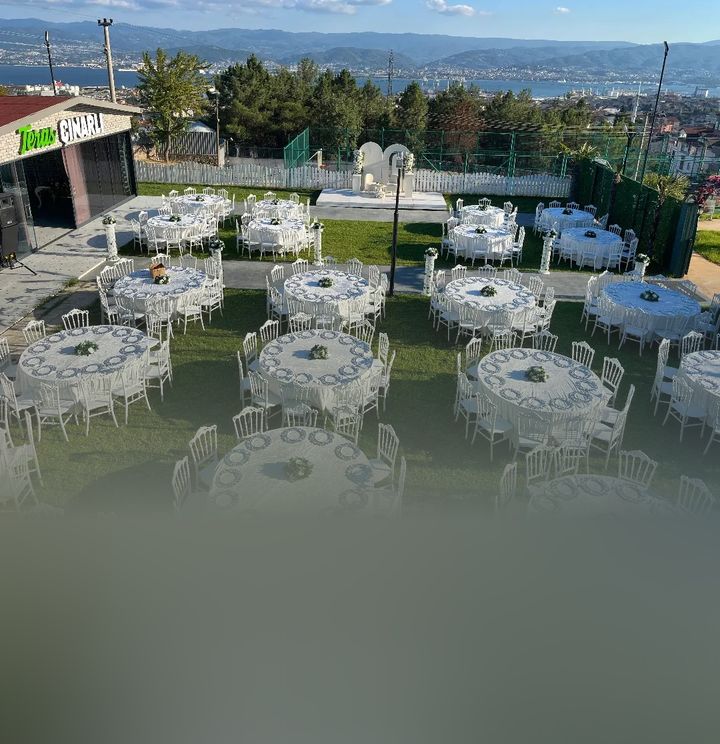 Teras Çınarlı