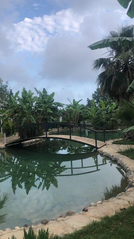 Bohomi Event Garden