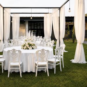 Friesian