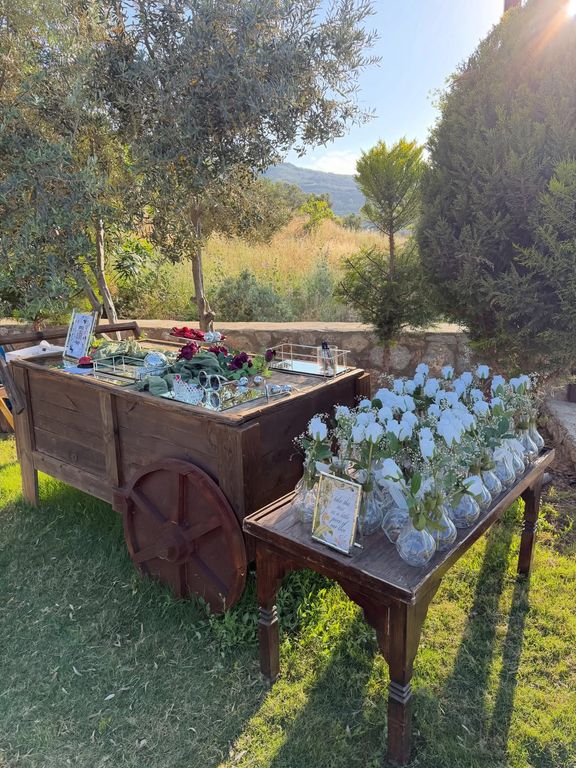 Olive Garden Efes
