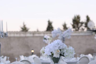 Rositta Garden