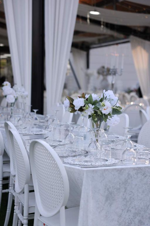 Rositta Garden - 2585579