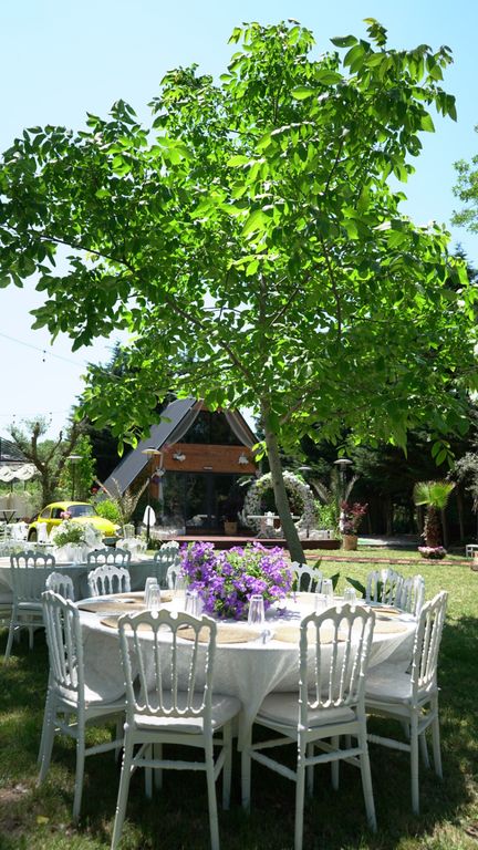 Los Olivos