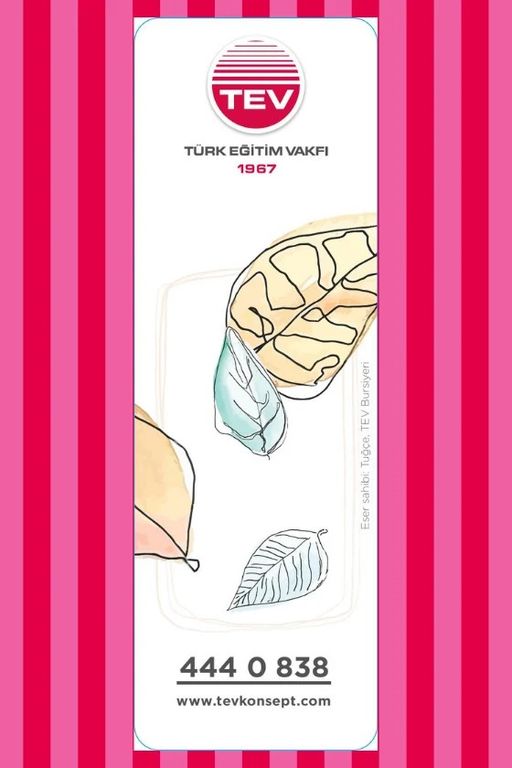 Türk Eğitim Vakfı