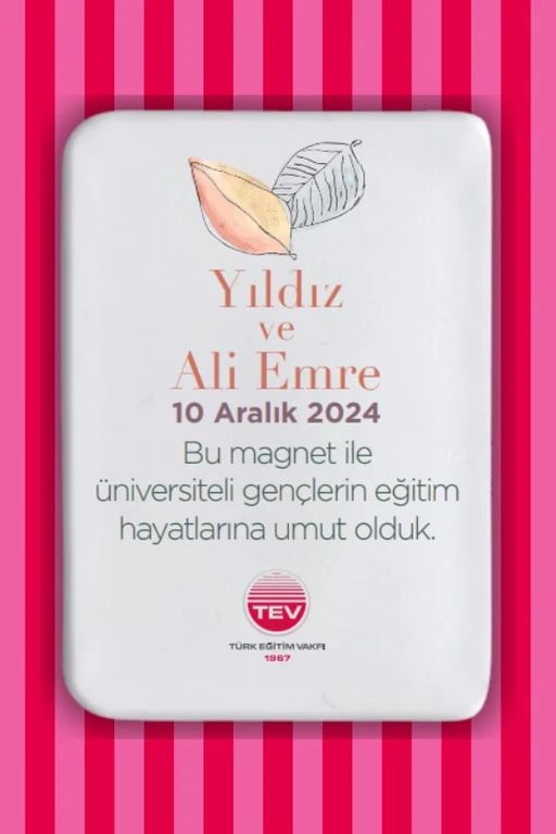 Türk Eğitim Vakfı