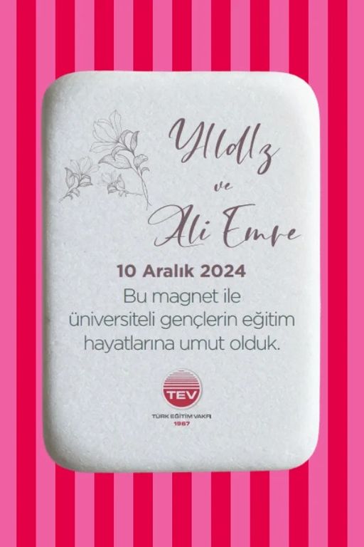 Türk Eğitim Vakfı