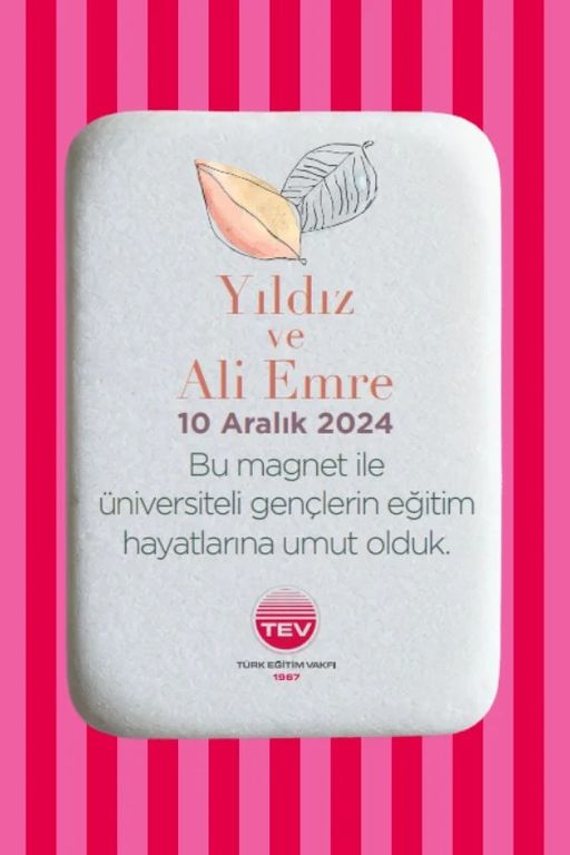 Türk Eğitim Vakfı