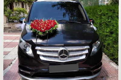 Yıldız Vip