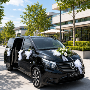 Z-Class Vip