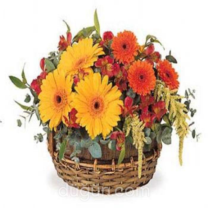 Hanımeli Çiçekçilik