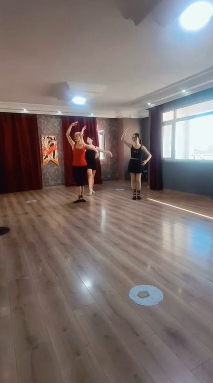 Ordu Dans Sporları Akademisi Spor Kulübü
