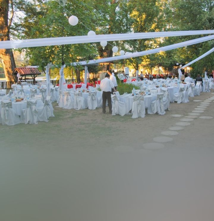 Papağan Organizasyon