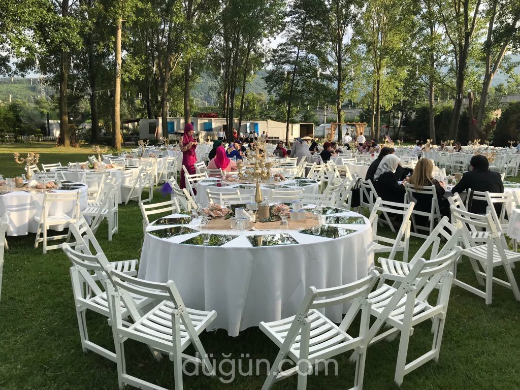 Prestij Organizasyon