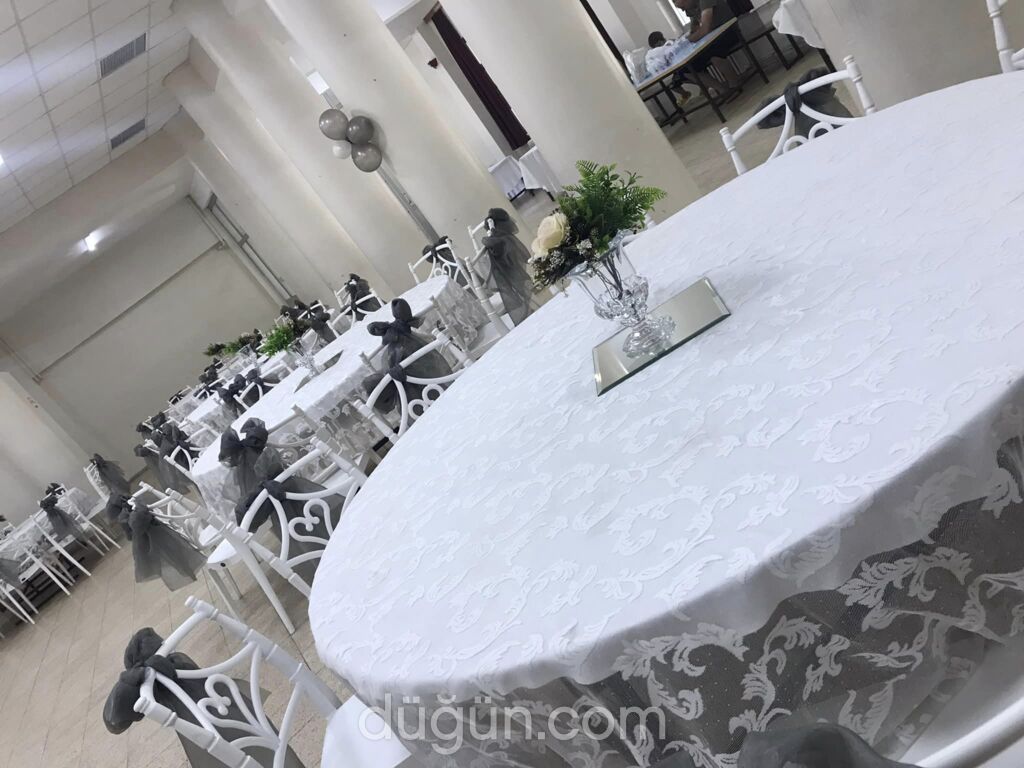 Aysu Organizasyon