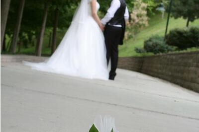 Foto Yüksel