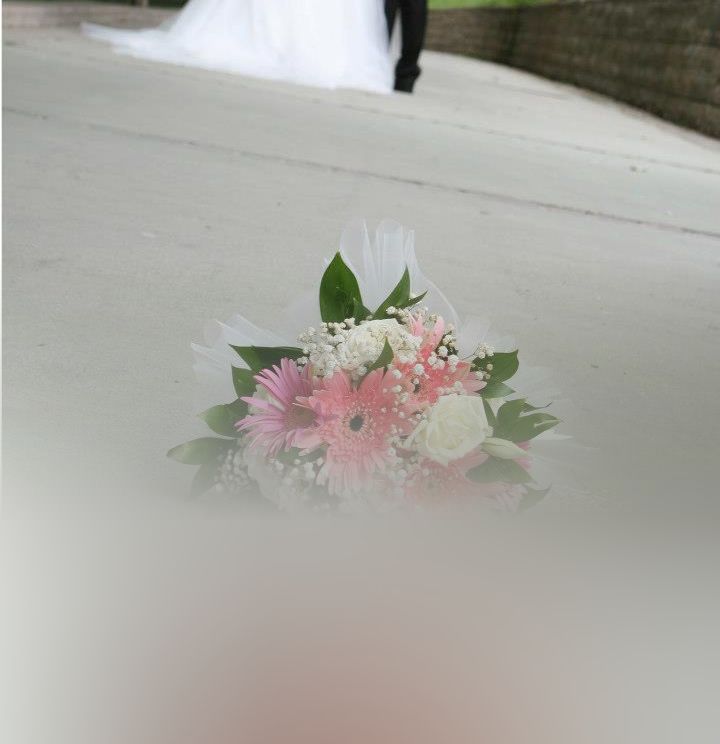 Foto Yüksel