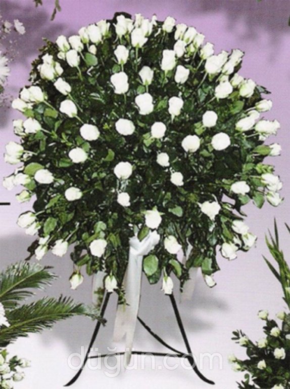 Kayseri Eren Çiçek