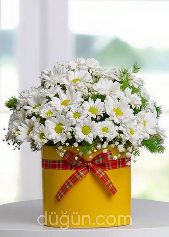 Yaprak Çiçekçilik